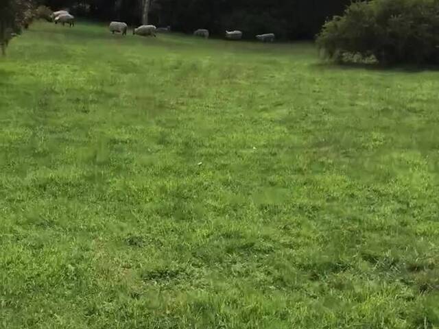 Terreno para Venta en Ancud - 5