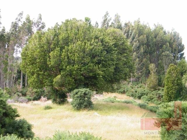 Terreno para Venta en Ancud - 4