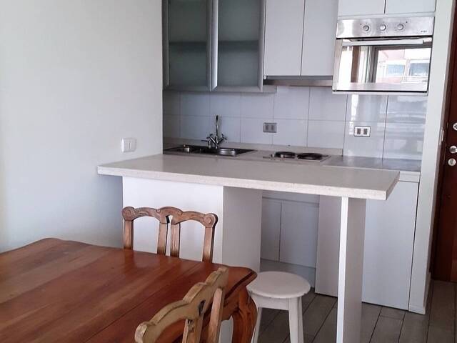 #39 - Departamento para Arriendo en Providencia - XIII - 3