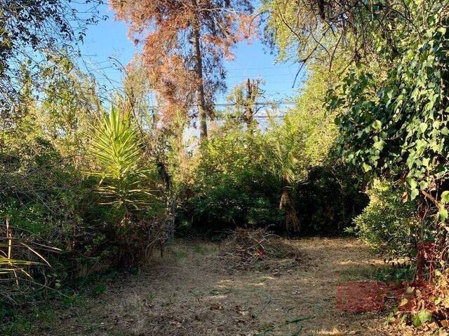 Área para Venta en La Florida - 4