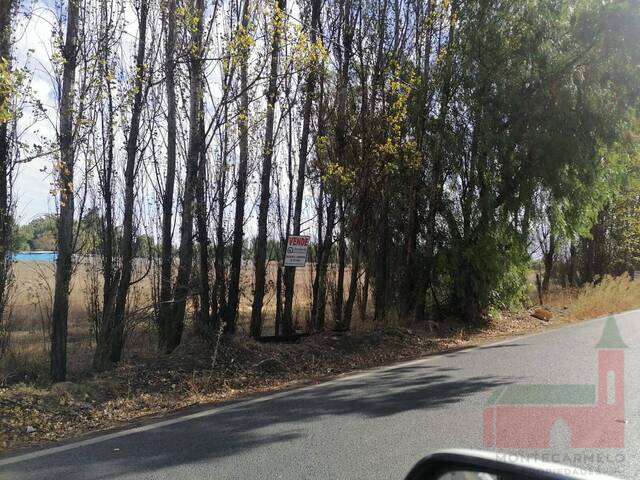 Terreno para Arriendo en Lampa - 5