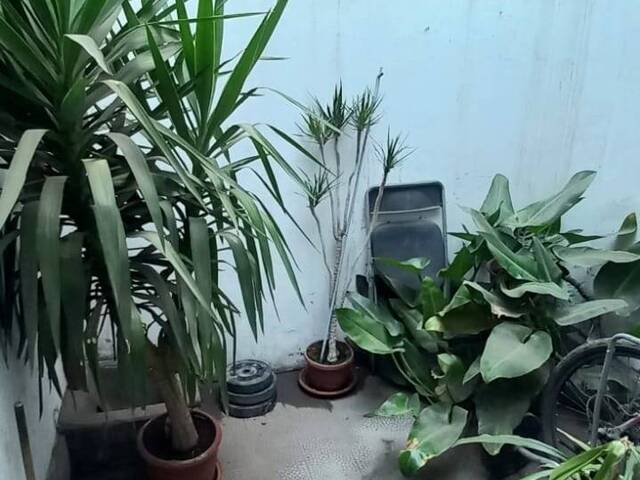 Casa para Venta en Santiago - 5